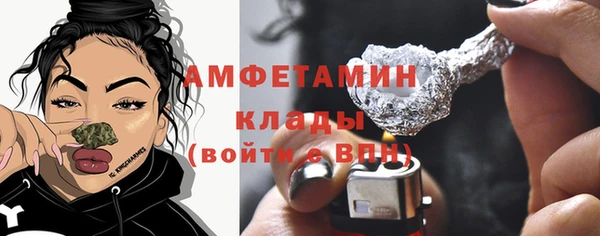 молекула духа Мегион