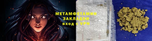 прущие грибы Михайловск