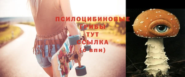 молекула духа Мегион
