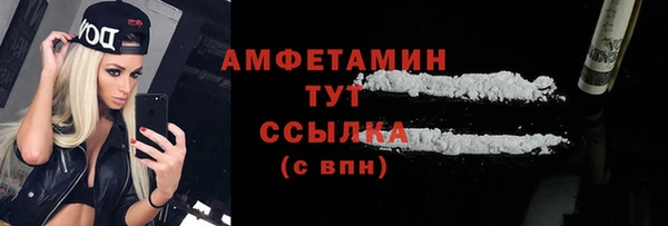 молекула духа Мегион
