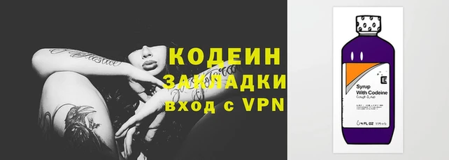 прущие грибы Михайловск