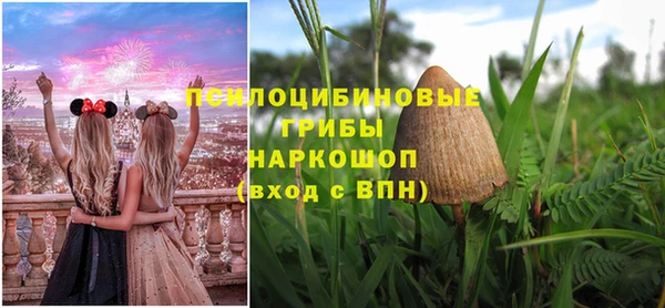 молекула духа Мегион