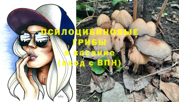 мескалин Медвежьегорск