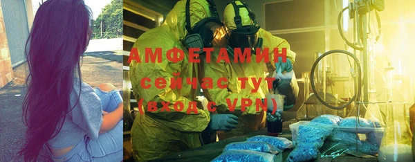 прущие грибы Михайловск