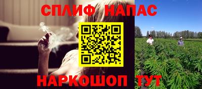 прущие грибы Заводоуковск