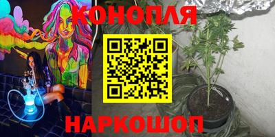 прущие грибы Заводоуковск