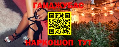 прущие грибы Заводоуковск