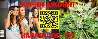 прущие грибы Заводоуковск