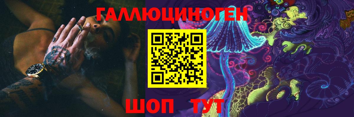 где найти наркотики  Галлюциногенные грибы Psilocybe  Вход с VPN  Фролово 